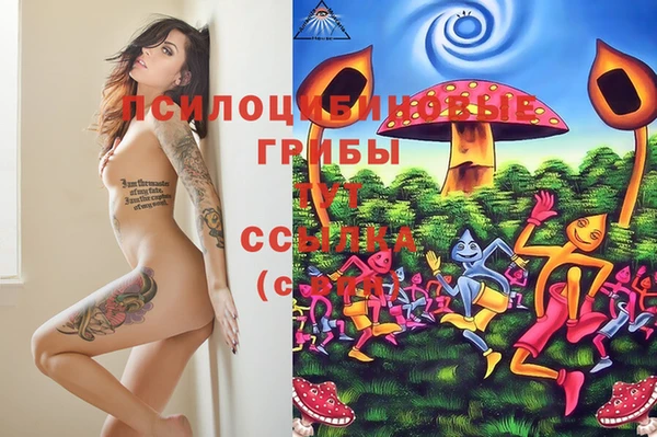 MDMA Абаза